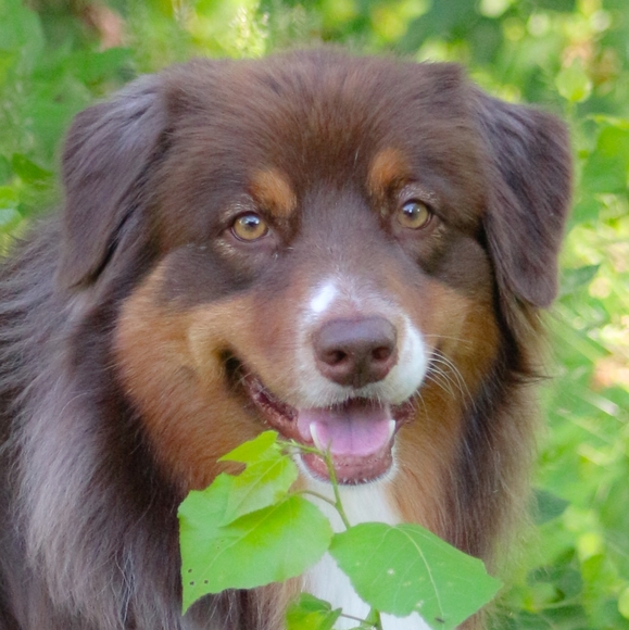 ?????Top Rated Seller ????? - Picture 3 of 4